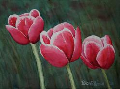 3RedTulips-14x10-241213.jpg