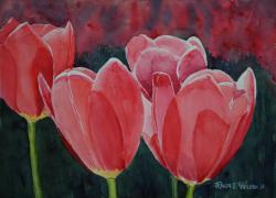 4RedTulipsinaField-14x10-241213.jpg